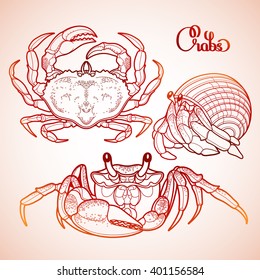 Graphic vector crab collection drawn in line art style. Sea and ocean creature isolated in red colors. Top view. Seafood element. Coloring book page design