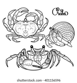 Graphic vector crab collection drawn in line art style. Sea and ocean creature isolated on white background. Top view. Seafood element. Coloring book page design for adults and kids