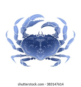 Graphic vector crab drawn in line art style. Sea and ocean creature in blue colors. Top view. Seafood element. Coloring book page design