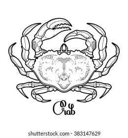 Graphic vector crab drawn in line art style. Sea and ocean creature isolated on white background. Top view. Seafood element. Coloring book page design for adults and kids