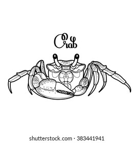 Graphic vector crab drawn in line art style. Sea and ocean creature isolated on white background. Seafood element. Coloring book page design