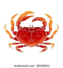 Graphic vector crab drawn in line art style. Sea and ocean creature isolated on white background in red colors. Top view. Seafood element. Coloring book page design