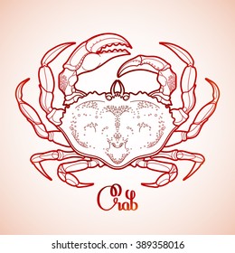 Graphic vector crab drawn in line art style. Sea and ocean creature isolated in red colors. Top view. Seafood element. Coloring book page design