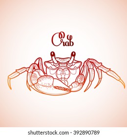 Graphic vector crab drawn in line art style. Sea and ocean creature isolated in red colors. Top view. Seafood element. Coloring book page design