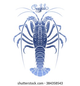 Graphic vector crayfish drawn in line art style. Spiny or rocky lobster. Sea and ocean creature in blue colors. Top view. Seafood element. Coloring book page design