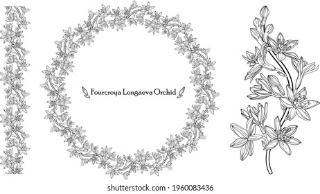 Vector gráfico de flor floral con flores de arquidia.