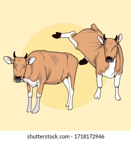 graphic vector illustration cartoon of cow