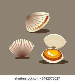 graphic vector illustration of clams in various shapes