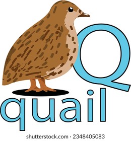 graphic vector illustration of
collection of animals in alphabetical order
fit for helping young children's learning