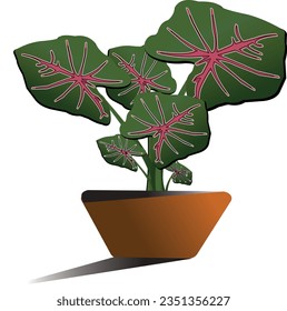 graphic vector illustration of
A colorful frangipani flower plant is suitable for a striped background for objects or wall decoration