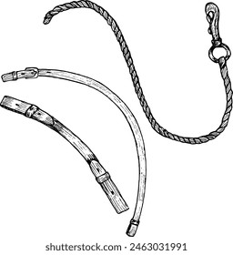 Graphic vector illustration of cord or rope with a carabiner, leather belts. Equipment for horse riding. Isolated. For cards, prints, decor