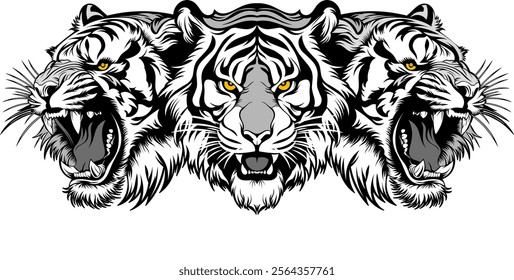 Graphic vector illustration, the design of three tiger heads typical of Sumatra, Indonesia, is suitable for use as a t-shirt design or symbol as a community. 