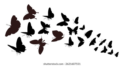 Graphic vector illustration of flock of butterflies flying