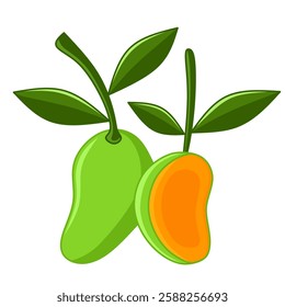 Graphic vector illustration of fresh green mango fruit and ripe mango slices with leaves isolated on white background, depicting tropical fruit.