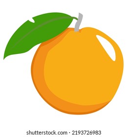 GRAPHIC VECTOR ILLUSTRATION, FRESH ORANGE, FRUITS