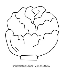 ilustración vectorial gráfica, col botánica dibujada a mano. Productos vegetales orgánicos. adecuado para menús o embalajes de restaurante, etiquetas, carteles, impresión. El tallado de estilo.