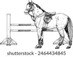 Graphic vector illustration of horse and barrier for show jumping and horse jumping, white and red poles. Equipment for horse riding. Isolated. For cards, prints, decor