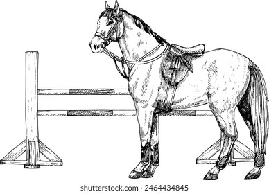 Ilustración vectorial gráfica de caballo y barrera para salto de espectáculo y salto de caballo, postes blancos y rojos. Equipo para montar a caballo. Aislado. Para tarjetas, estampados, decoración