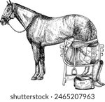 Graphic vector illustration of horse, saddle on wooden stand. Boot, bag. Hand painting. Horse equipment, for horse sport, riding