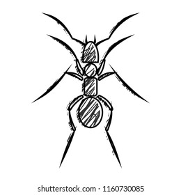 Graphic vector illustration of insect, black and white hand drawn ant, isolated. Sketch pencil liberty drawing. Print for t shirts