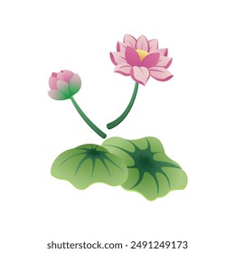 graphic vector illustration of lotus flower parts