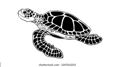 graphic vector illustration of sea turtle sign symbol icon. vector sea turtle silhouette isolated on white background