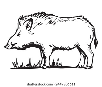 Graphic vector illustration. Silhouette of wild boar. Graphic illustration of boar on isolated white background