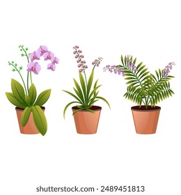 Ilustración vectorial gráfica de varios tipos de hermosas orquídeas