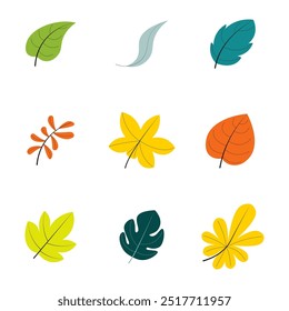 Graphic vector illustration of various types and shapes of leaves