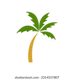 Graphic vector image of a palm tree. Palm