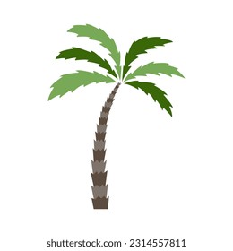 Grafisches Vektorbild einer Palme.