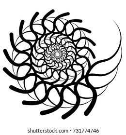 Graphic vector image of a shell of an ancient malyuska. Abstract background, pattern. Isolated object on white background