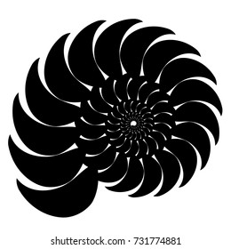 Graphic vector image of a shell of an ancient malyuska. Abstract background, pattern. Isolated object on white background