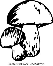 Graphic vector image of two mushrooms