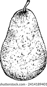 graphic vector image of whole avocado fruit, avocado halves, pieces, leaves, hand drawing.