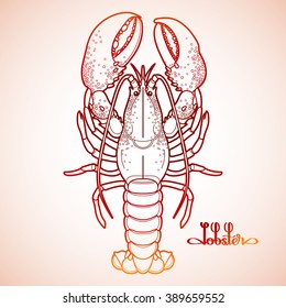 Graphic vector lobster drawn in line art style. Sea and ocean creature isolated in red colors. Top view. Seafood element. Coloring book page design