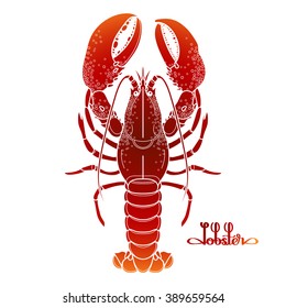 Graphic vector lobster drawn in line art style. Sea and ocean creature isolated on white background in red colors. Top view. Seafood element. Coloring book page design