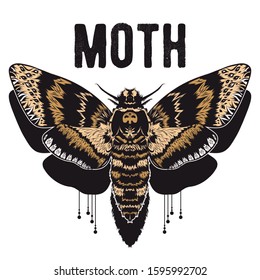 Graphic vector of moth. Illustration for print of t-shirts, mugs, pens, logos, tattoo and other things. Vintage hand drawn line art illustration