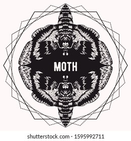 Graphic vector of moth. Illustration for print of t-shirts, mugs, pens, logos, tattoo and other things. Vintage hand drawn line art illustration
