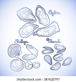 Graphic vector mussels, oysters and scallops drawn in line art style in blue colors. Sea and ocean clams isolated on white background. Ingredients for seafood menu. Coloring book page design