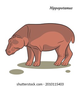 Graphic vector outline illustration with big wild african animal hippopotamus on a white background
