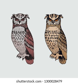 Graphic vector owls set isolated
