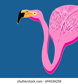 Graphic vector portrait of pink flamingos on a blue background