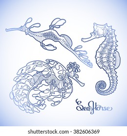 Graphic vector sea horse collection  in a line art style. Ocean creatures isolated in blue colors