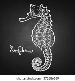 Graphic vector Seahorse drawn in a line art style. Ocean creature isolated on chalkboard