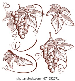 Graphic vector set of 6 bunch of grapes and vine elements