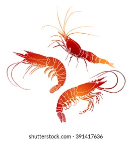 Graphic vector shrimps collection drawn in line art style. Sea and ocean creature isolated on white background in red colors. Seafood element. Coloring book page design