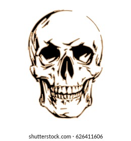 Graphic vector skull isolated on white background. T-shirt design.