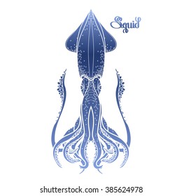 Graphic vector squid drawn in line art style. Sea and ocean creature in blue colors isolated on white background. Coloring book page design