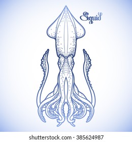 Graphic vector squid drawn in line art style. Sea and ocean creature in blue colors. Coloring book page design